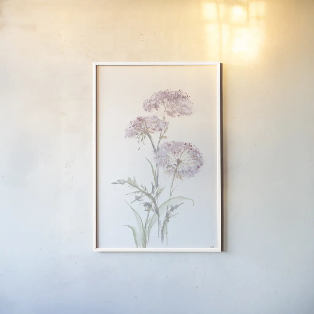 Tall Queen Annes Lace III by Chris Paschke. shown as a paper print in a white frame. Available as a archival giclee rolled canvas, fine art paper, or poster print. SKU 73079h.