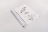 Tall Queen Annes Lace IV by Chris Paschke. shown as a rolled paper print. Available as archival giclee rolled canvas, fine art paper, or poster print. SKU 73080h.