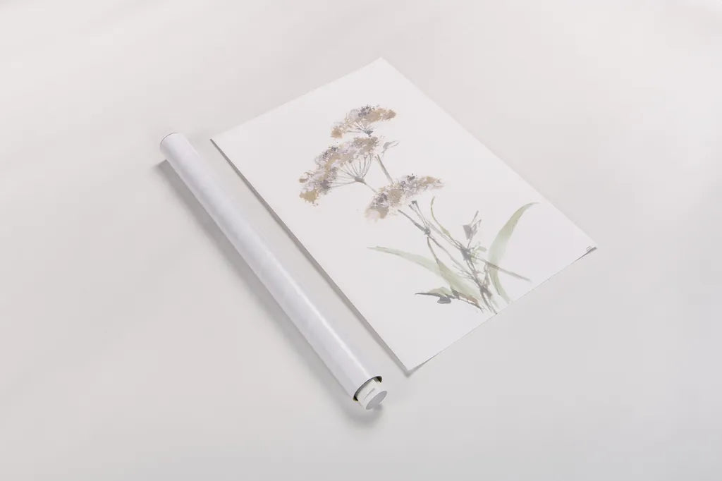 Tall Queen Annes Lace IV by Chris Paschke. shown as a rolled paper print. Available as archival giclee rolled canvas, fine art paper, or poster print. SKU 73080h.