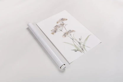 Tall Queen Annes Lace IV by Chris Paschke. shown as a rolled paper print. Available as archival giclee rolled canvas, fine art paper, or poster print. SKU 73080h.