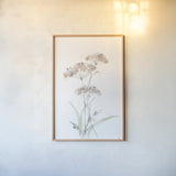Tall Queen Annes Lace IV by Chris Paschke. shown as a paper print in a natural frame. Available as a archival giclee rolled canvas, fine art paper, or poster print. SKU 73080h.
