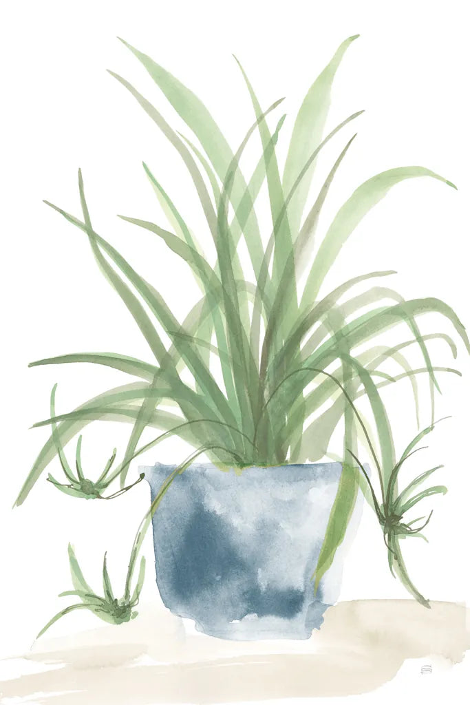 Tall Sunroom IV Blue by Chris Paschke. SKU 86555h. Archival Giclee Fine art print for wall decor.