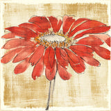 Tangerine and Grey I by Chris Paschke. SKU 11093a. Archival Giclee Fine art print for wall decor.