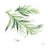 Tarragon v2 by Chris Paschke. SKU 28469a. Archival Giclee Fine art print for wall decor.