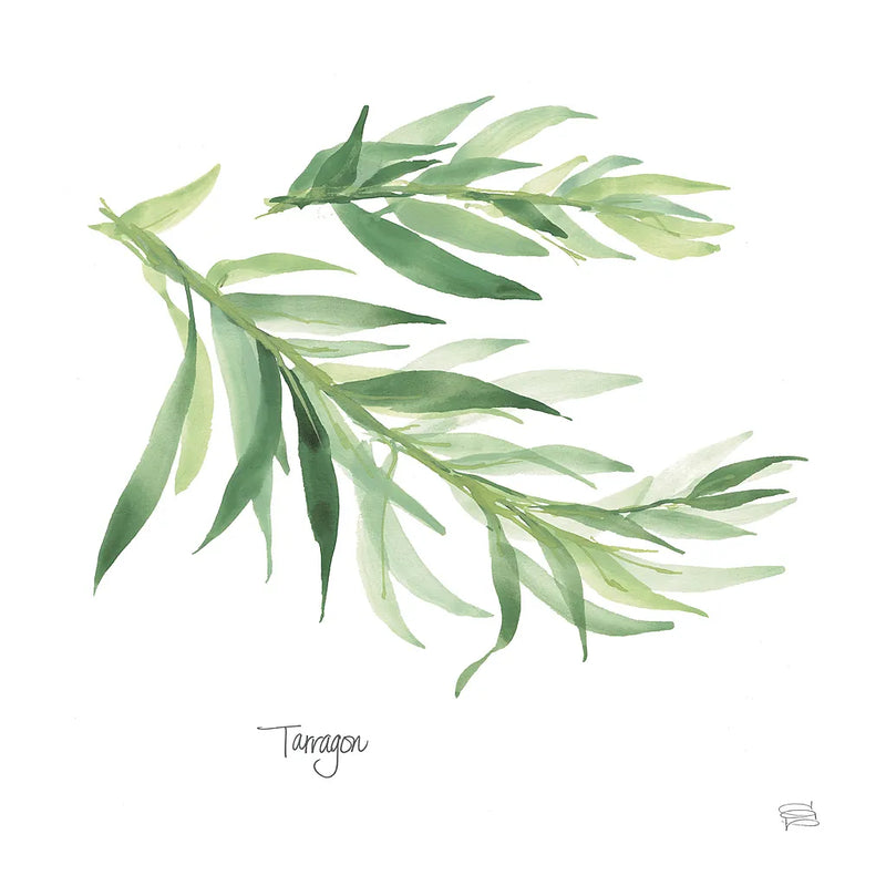 Tarragon v2 by Chris Paschke. SKU 28469a. Archival Giclee Fine art print for wall decor.