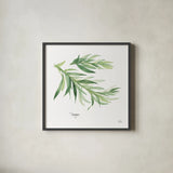 Tarragon v2 by Chris Paschke. Shown in a sleek black glass frame for a contemporary gallery look. Available as an archival giclee rolled canvas, fine art paper, or poster print. SKU 28469a.