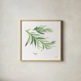 Tarragon v2 by Chris Paschke. Shown in a natural wood glass frame for a timeless modern aesthetic. Available as an archival giclee rolled canvas, fine art paper, or poster print. SKU 28469a.