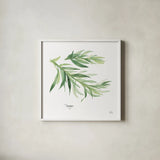 Tarragon v2 by Chris Paschke. Shown in a crisp white glass frame for a clean and minimalist style. Available as an archival giclee rolled canvas, fine art paper, or poster print. SKU 28469a.