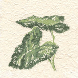 Textile Leaves I by Chris Paschke. SKU 94411a. Archival Giclee Fine art print for wall decor.