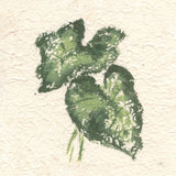 Textile Leaves II by Chris Paschke. SKU 94412a. Archival Giclee Fine art print for wall decor.