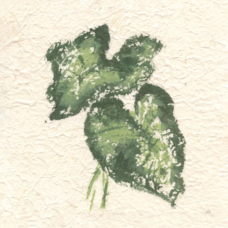Textile Leaves II by Chris Paschke. SKU 94412a. Archival Giclee Fine art print for wall decor.