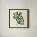 Textile Leaves II by Chris Paschke. Shown in a sleek black glass frame for a contemporary gallery look. Available as an archival giclee rolled canvas, fine art paper, or poster print. SKU 94412a.