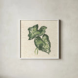 Textile Leaves II by Chris Paschke. Shown in a crisp white glass frame for a clean and minimalist style. Available as an archival giclee rolled canvas, fine art paper, or poster print. SKU 94412a.