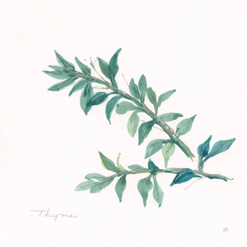 Thyme by Chris Paschke. SKU 27532a. Archival Giclee Fine art print for wall decor.
