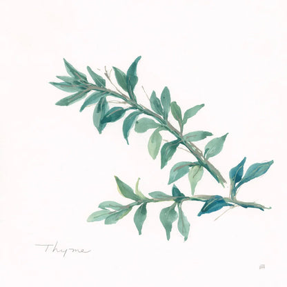 Thyme by Chris Paschke. SKU 27532a. Archival Giclee Fine art print for wall decor.