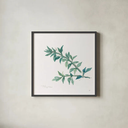 Thyme by Chris Paschke. Shown in a sleek black glass frame for a contemporary gallery look. Available as an archival giclee rolled canvas, fine art paper, or poster print. SKU 27532a.