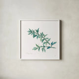 Thyme by Chris Paschke. Shown in a crisp white glass frame for a clean and minimalist style. Available as an archival giclee rolled canvas, fine art paper, or poster print. SKU 27532a.