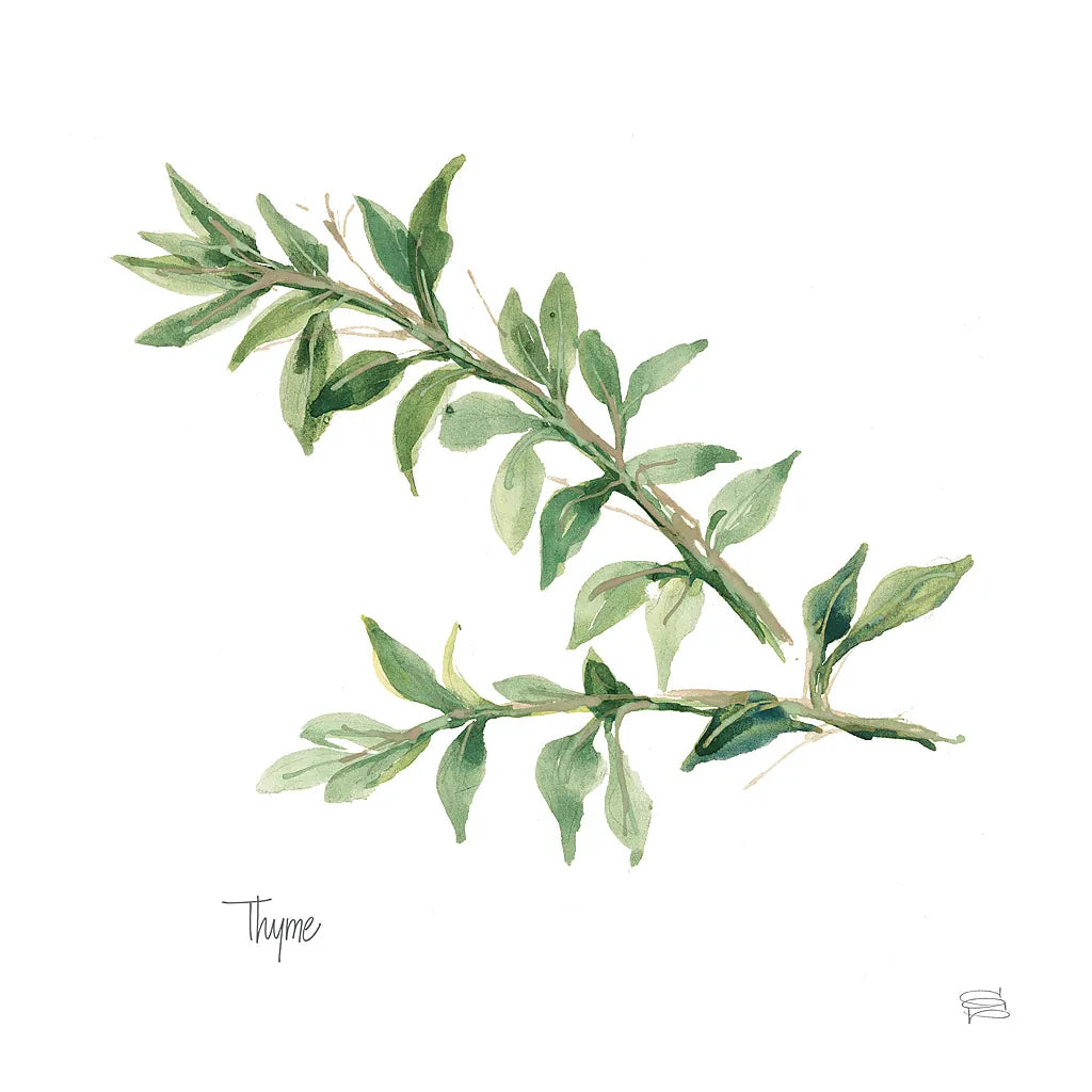 Thyme v2 by Chris Paschke. SKU 28470a. Archival Giclee Fine art print for wall decor.