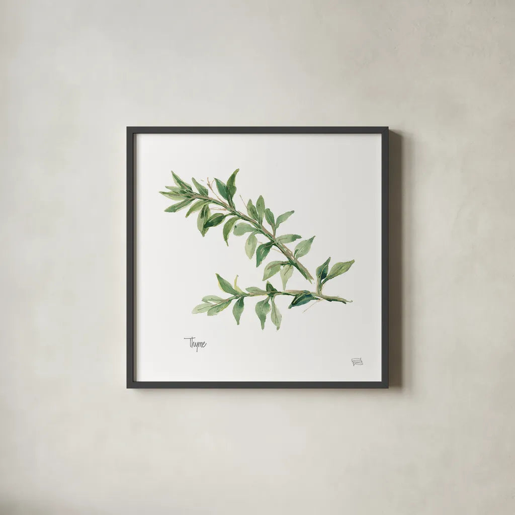 Thyme v2 by Chris Paschke. Shown in a sleek black glass frame for a contemporary gallery look. Available as an archival giclee rolled canvas, fine art paper, or poster print. SKU 28470a.