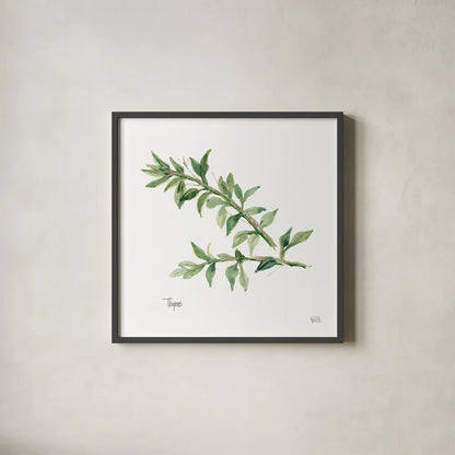 Thyme v2 by Chris Paschke. Shown in a sleek black glass frame for a contemporary gallery look. Available as an archival giclee rolled canvas, fine art paper, or poster print. SKU 28470a.