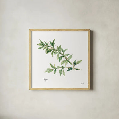 Thyme v2 by Chris Paschke. Shown in a natural wood glass frame for a timeless modern aesthetic. Available as an archival giclee rolled canvas, fine art paper, or poster print. SKU 28470a.