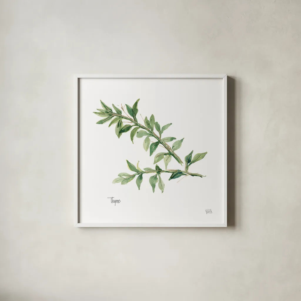 Thyme v2 by Chris Paschke. Shown in a crisp white glass frame for a clean and minimalist style. Available as an archival giclee rolled canvas, fine art paper, or poster print. SKU 28470a.