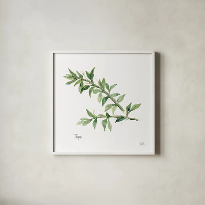 Thyme v2 by Chris Paschke. Shown in a crisp white glass frame for a clean and minimalist style. Available as an archival giclee rolled canvas, fine art paper, or poster print. SKU 28470a.