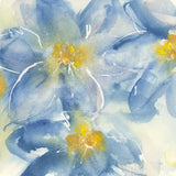 Tinted Clematis I by Chris Paschke. SKU 47269a. Archival Giclee Fine art print for wall decor.