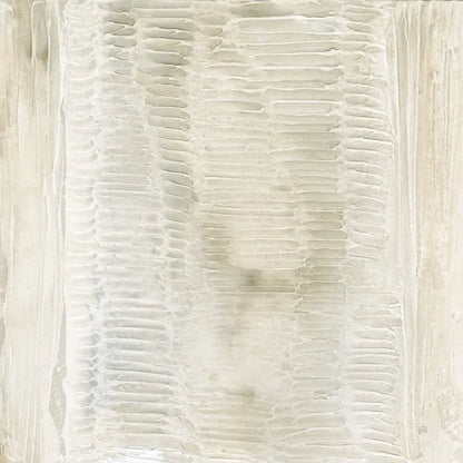 Toned Texture II by Chris Paschke. SKU 79627a. Archival Giclee Fine art print for wall decor.
