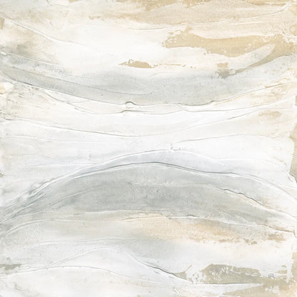 Toned Texture V by Chris Paschke. SKU 79630a. Archival Giclee Fine art print for wall decor.