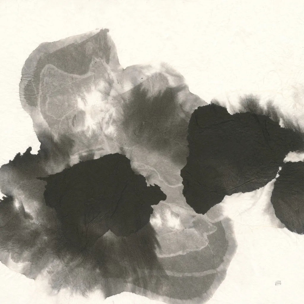 Transitions I by Chris Paschke. SKU 74737a. Archival Giclee Fine art print for wall decor.