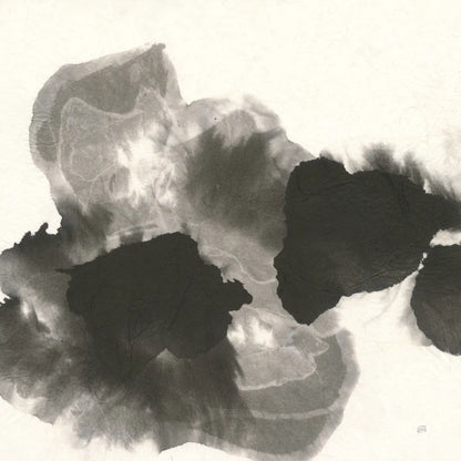 Transitions I by Chris Paschke. SKU 74737a. Archival Giclee Fine art print for wall decor.