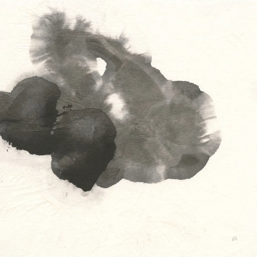 Transitions VI by Chris Paschke. SKU 74742a. Archival Giclee Fine art print for wall decor.