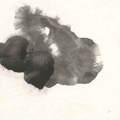 Transitions VI by Chris Paschke. SKU 74742a. Archival Giclee Fine art print for wall decor.