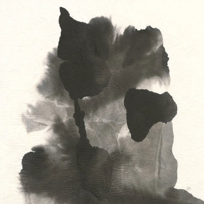 Transitions VII by Chris Paschke. SKU 74743a. Archival Giclee Fine art print for wall decor.