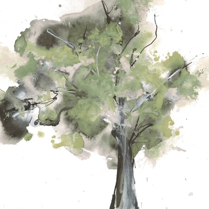 Treetops II Sage by Chris Paschke. SKU 88711a. Archival Giclee Fine art print for wall decor.