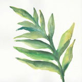 Tropical Palm I by Chris Paschke. SKU 22673a. Archival Giclee Fine art print for wall decor.