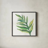 Tropical Palm I by Chris Paschke. Shown in a sleek black glass frame for a contemporary gallery look. Available as an archival giclee rolled canvas, fine art paper, or poster print. SKU 22673a.