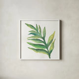 Tropical Palm I by Chris Paschke. Shown in a crisp white glass frame for a clean and minimalist style. Available as an archival giclee rolled canvas, fine art paper, or poster print. SKU 22673a.