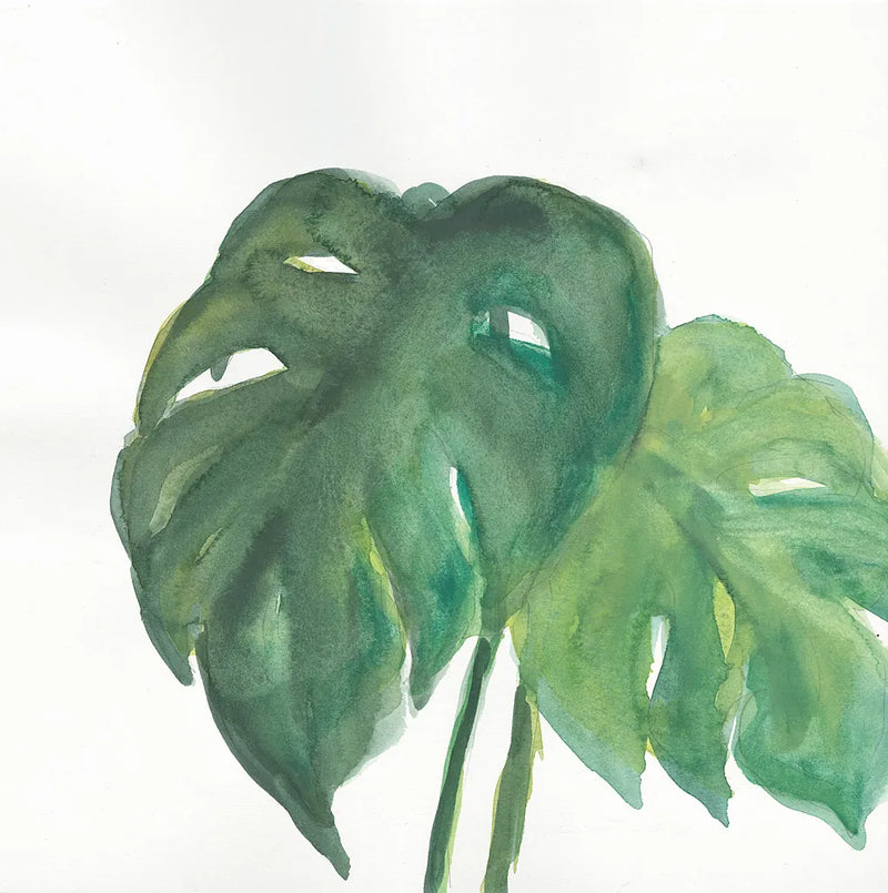 Tropical Palm II by Chris Paschke. SKU 22674a. Archival Giclee Fine art print for wall decor.