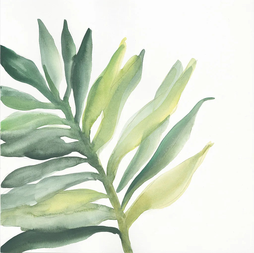 Tropical Palm III by Chris Paschke. SKU 22675a. Archival Giclee Fine art print for wall decor.