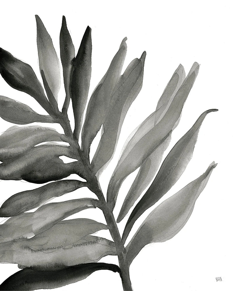 Tropical Palm III BW by Chris Paschke