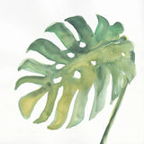 Tropical Palm IV by Chris Paschke. SKU 22676a. Archival Giclee Fine art print for wall decor.