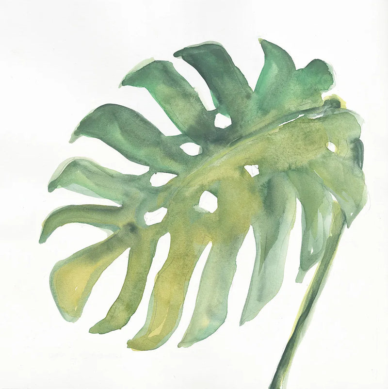 Tropical Palm IV by Chris Paschke. SKU 22676a. Archival Giclee Fine art print for wall decor.