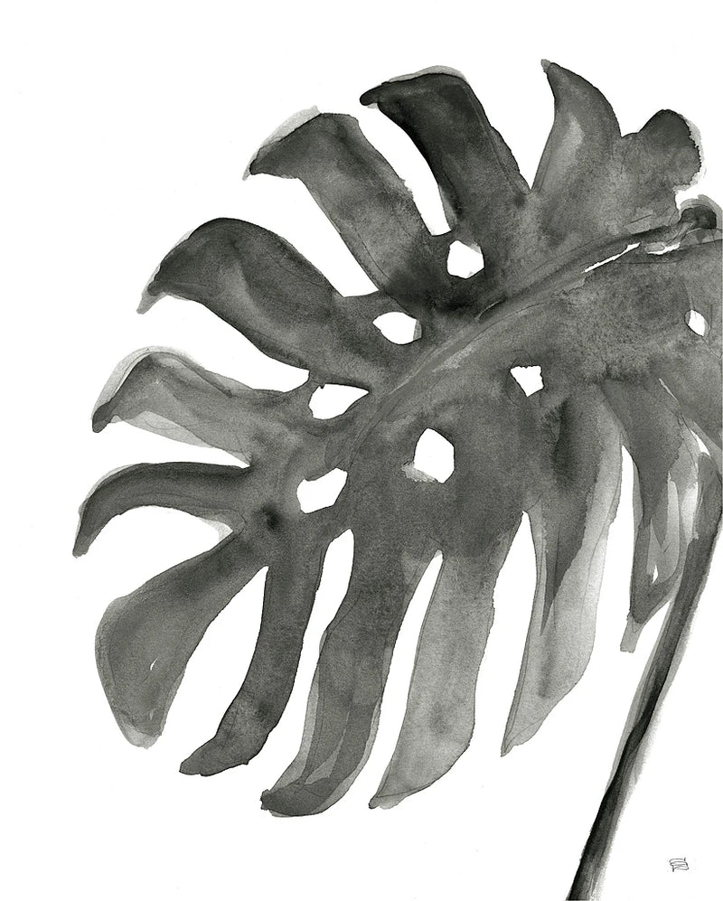 Tropical Palm IV BW by Chris Paschke