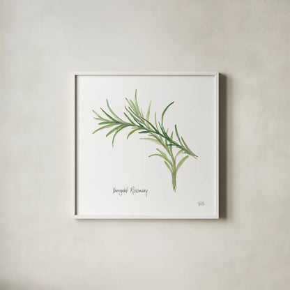 Variegated Rosemary v2 by Chris Paschke. Shown in a crisp white glass frame for a clean and minimalist style. Available as an archival giclee rolled canvas, fine art paper, or poster print. SKU 28468a.