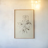Vintage Line Clematis by Chris Paschke. shown as a paper print in a natural frame. Available as a archival giclee rolled canvas, fine art paper, or poster print. SKU 78815h.