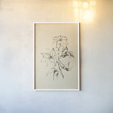 Vintage Line Clematis by Chris Paschke. shown as a paper print in a white frame. Available as a archival giclee rolled canvas, fine art paper, or poster print. SKU 78815h.