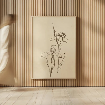 Vintage Line Iris II by Chris Paschke. shown as over sized large wall art. Available as an archival giclee rolled canvas, fine art paper, or poster print. SKU 78814h.