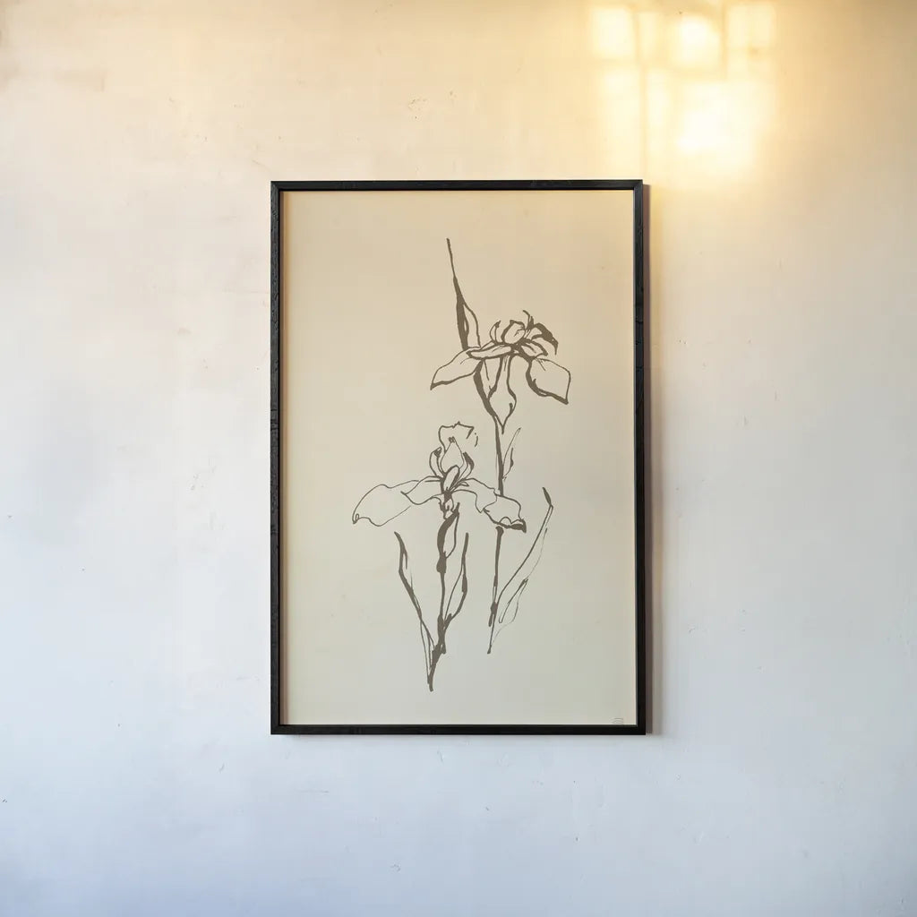 Vintage Line Iris II by Chris Paschke. shown as a paper print in a black flame. Available as a archival giclee rolled canvas, fine art paper, or poster print. SKU 78814h.